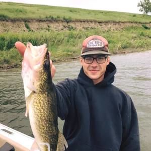 Meet your Posher, Wyatt